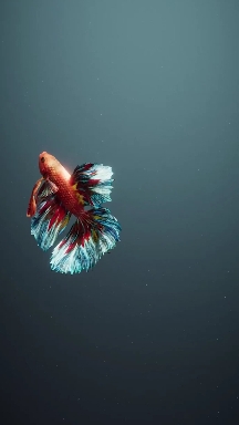 pretty Fish LIVE