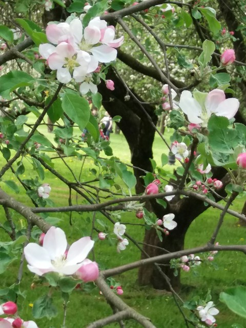 wonderful spring