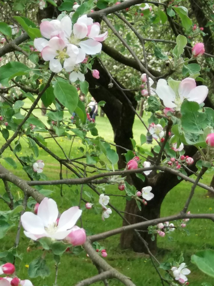 wonderful spring