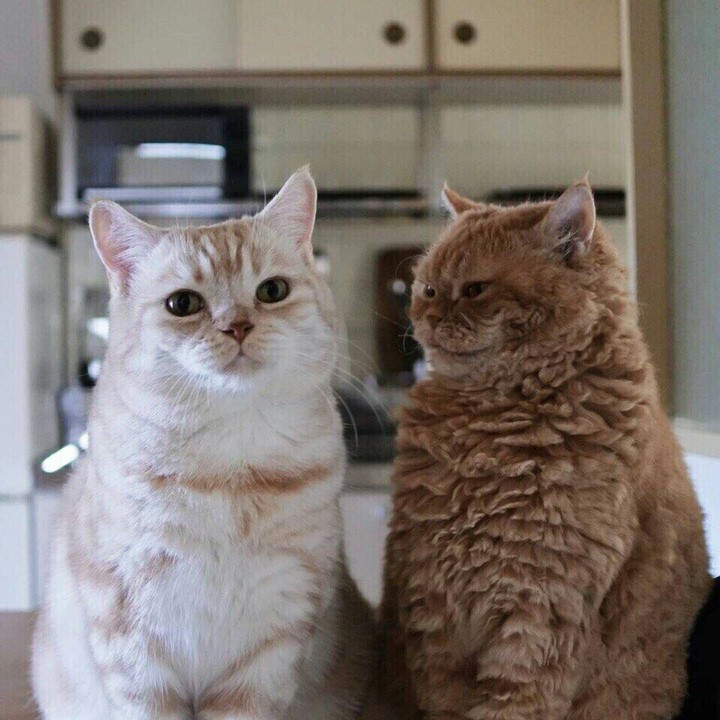 *