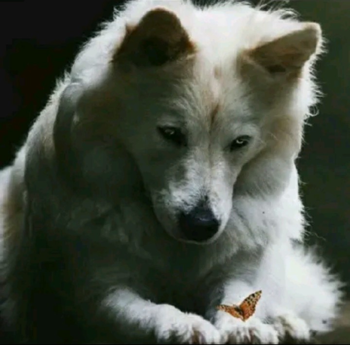 bellissimo!????
