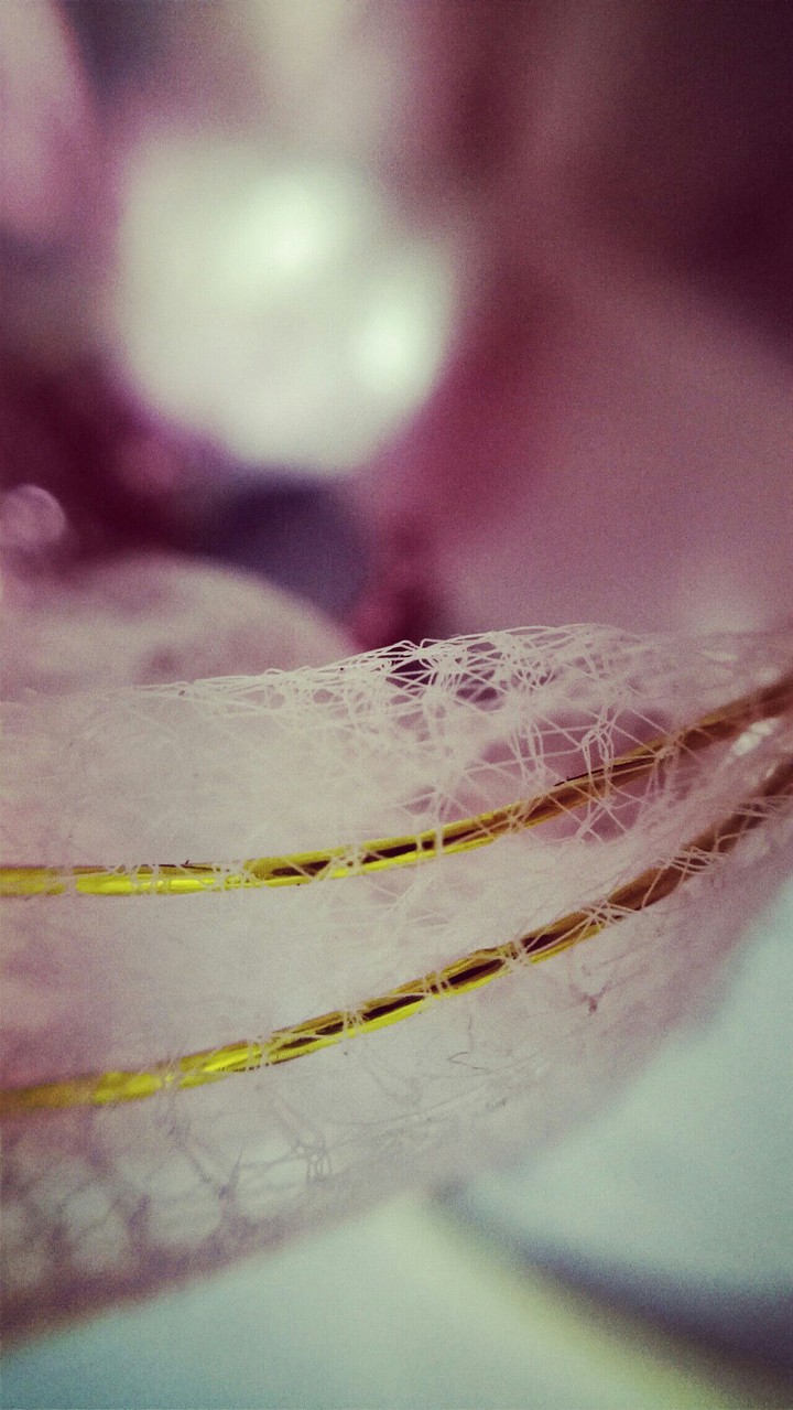 macro plume