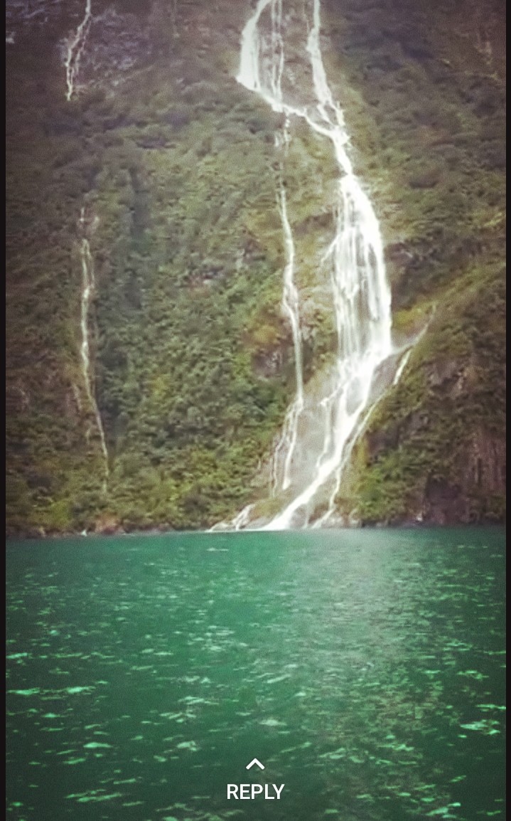 Nature beauty