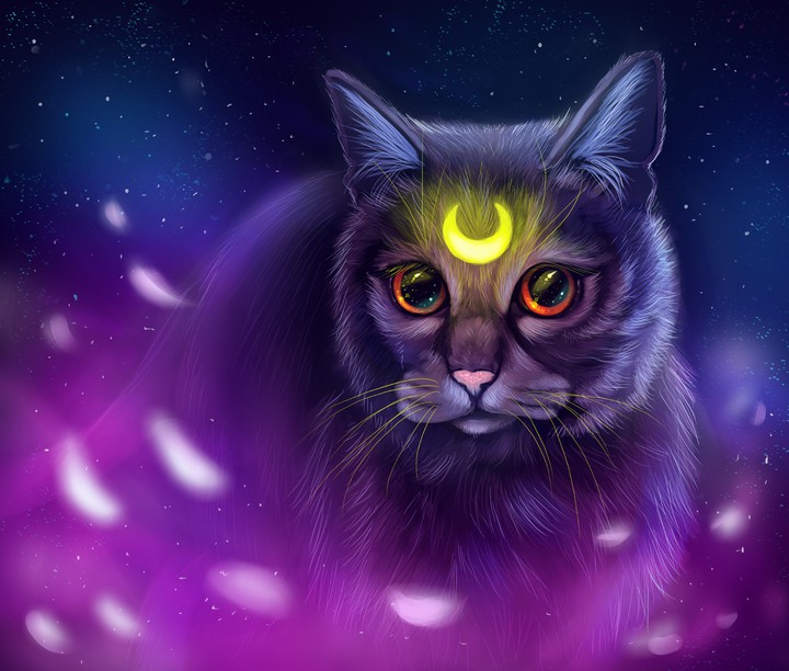 Cat with moon