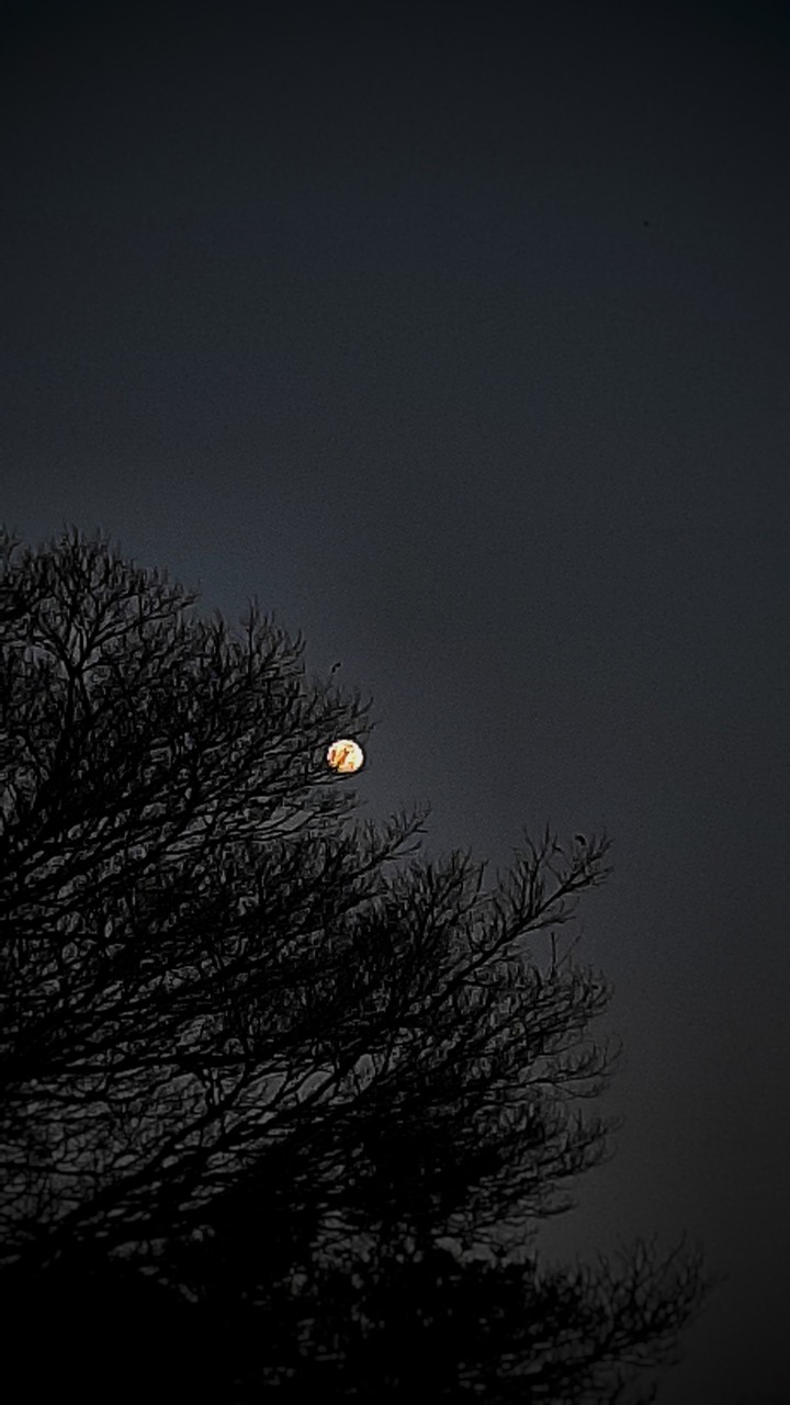 moon