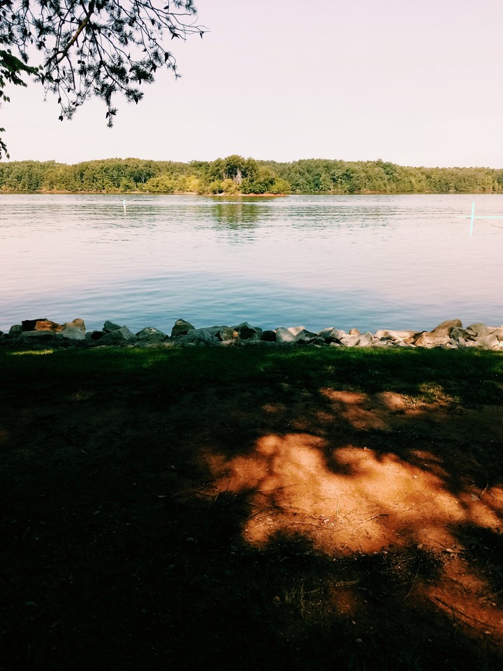 View