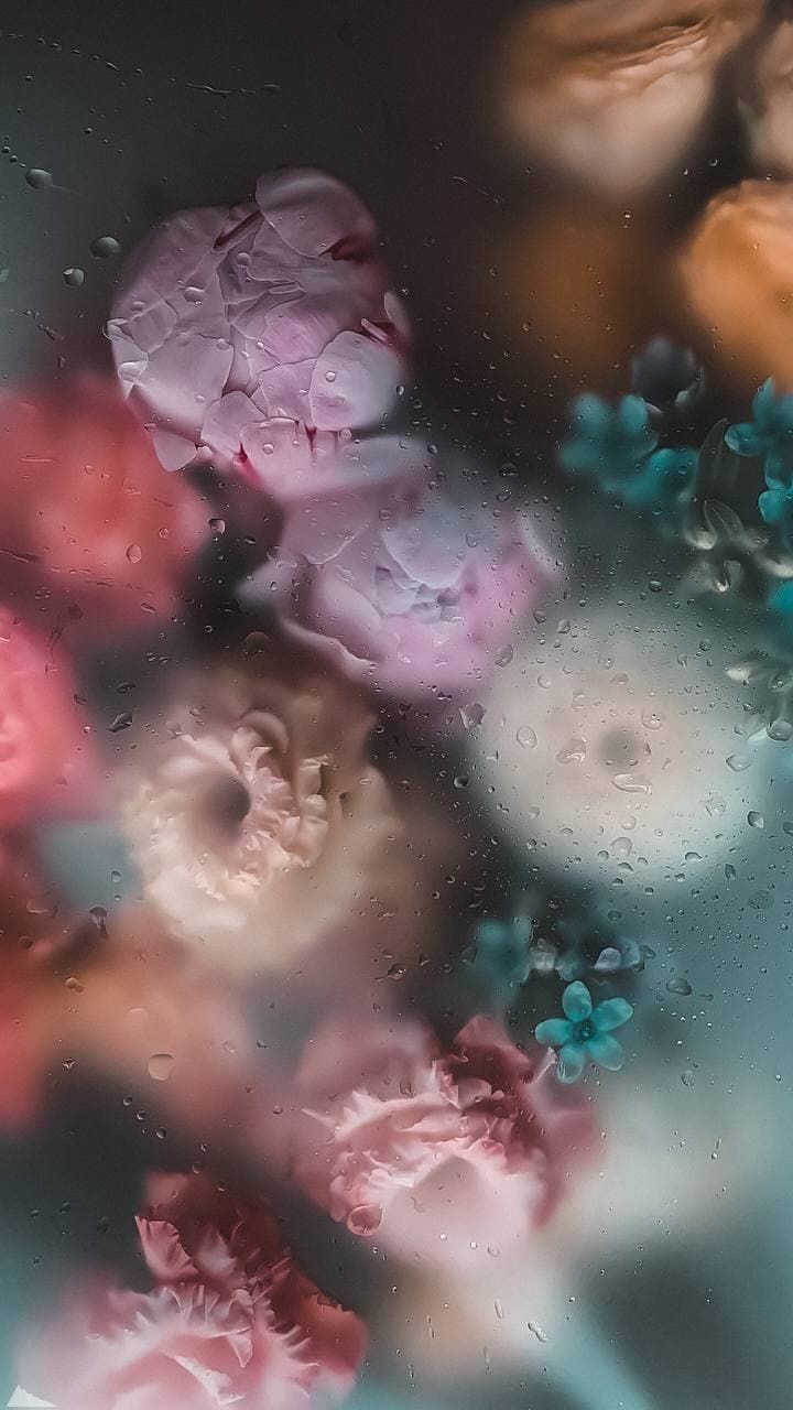 flower wallpaper