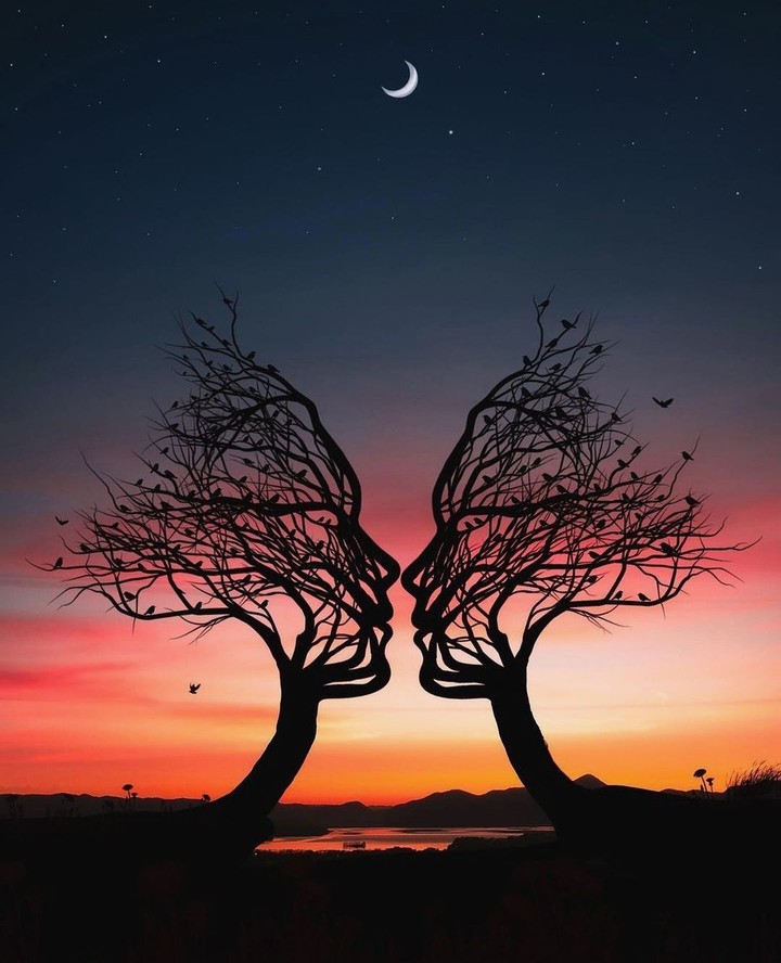 trees also have feelings