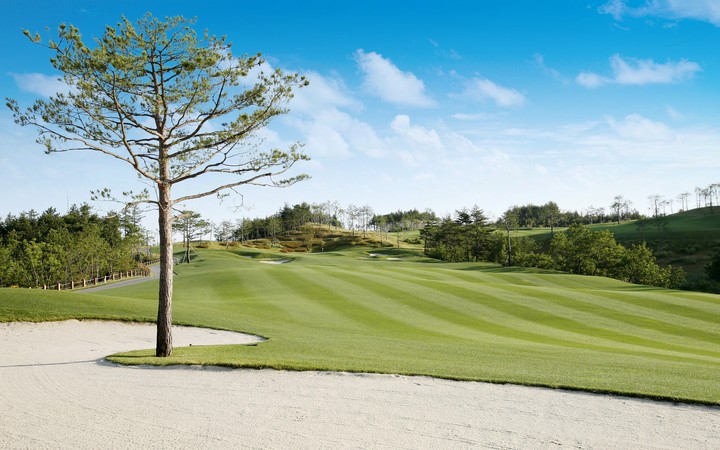 Golf Course