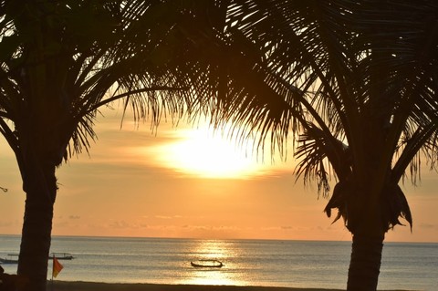 sun setting behind the trees
