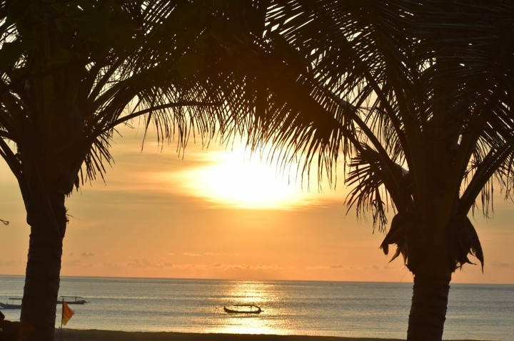 sun setting behind the trees