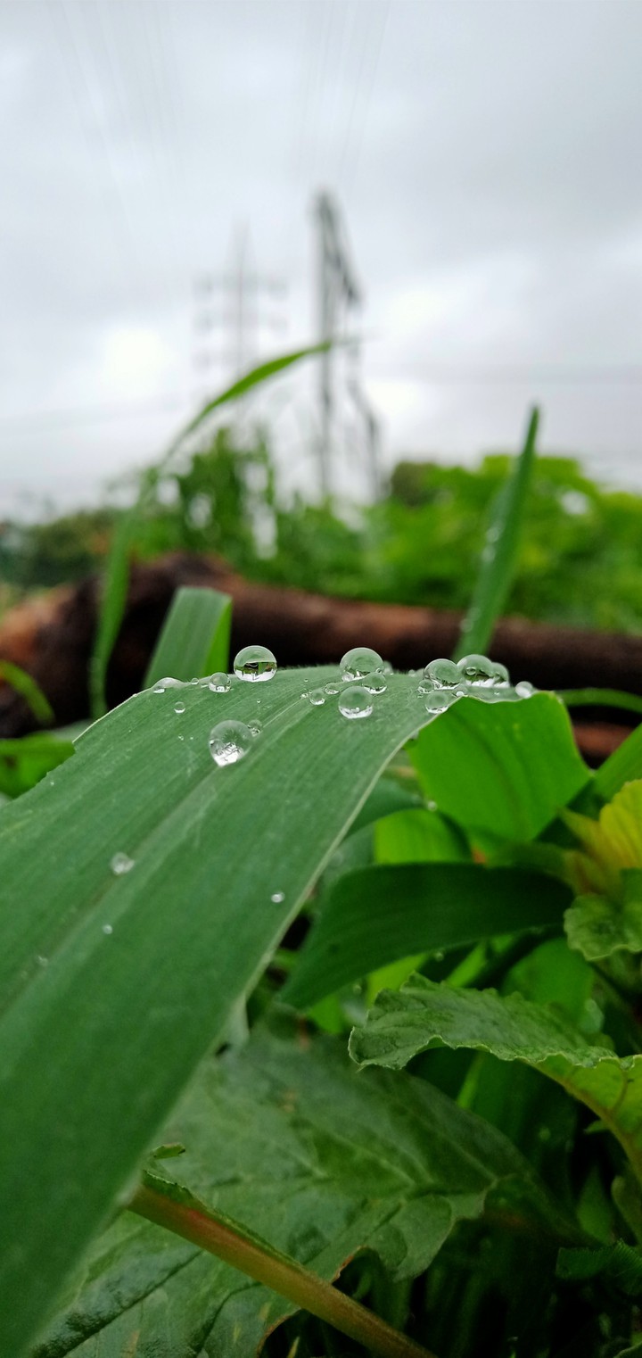 #mobile photography #ajinkya#4
