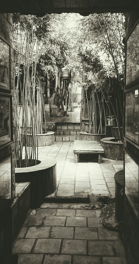 Bamboo Corner B&W