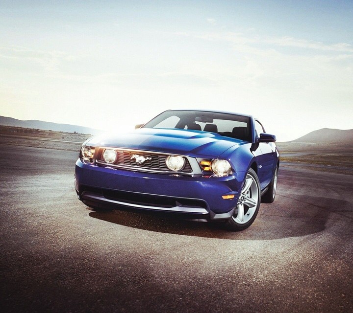 Mustang