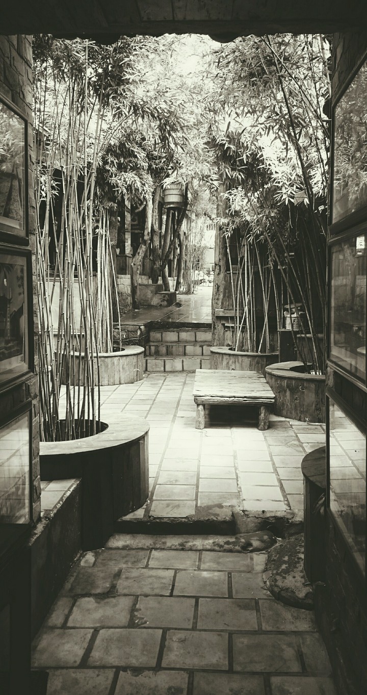 Bamboo Corner B&W