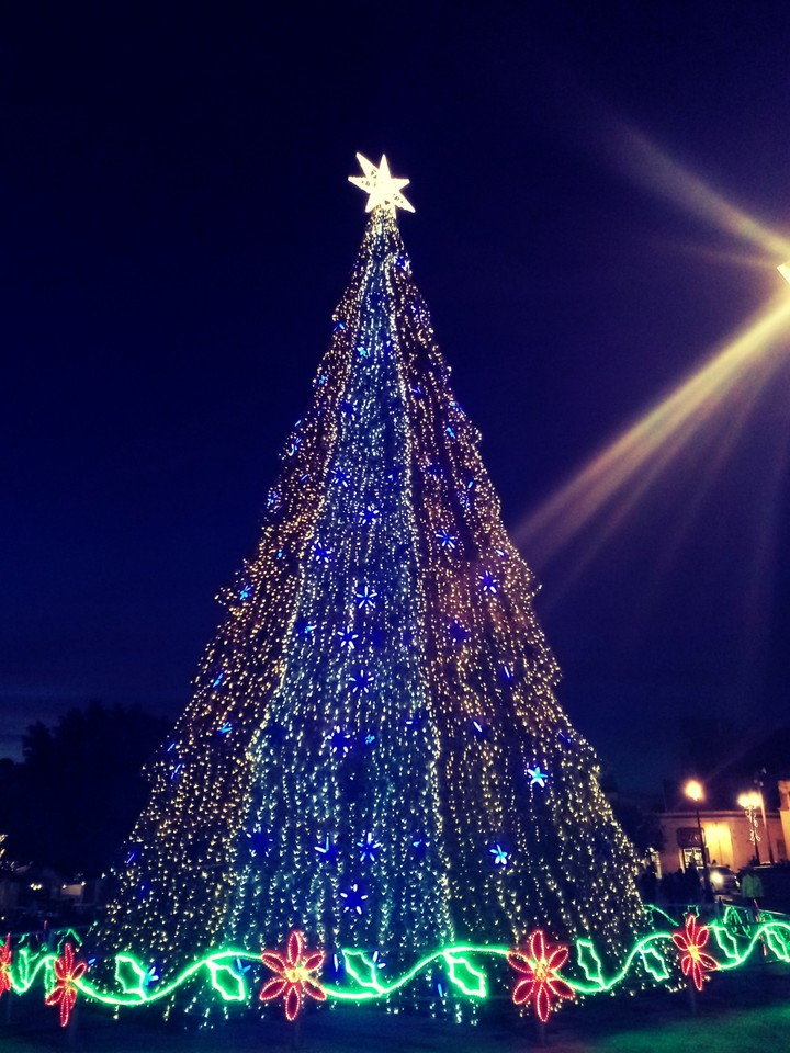 #Árbol #December #Christmas #Navidad