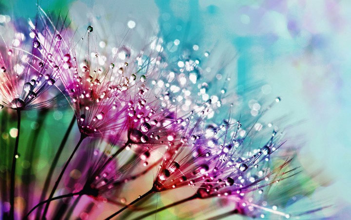 water crystals