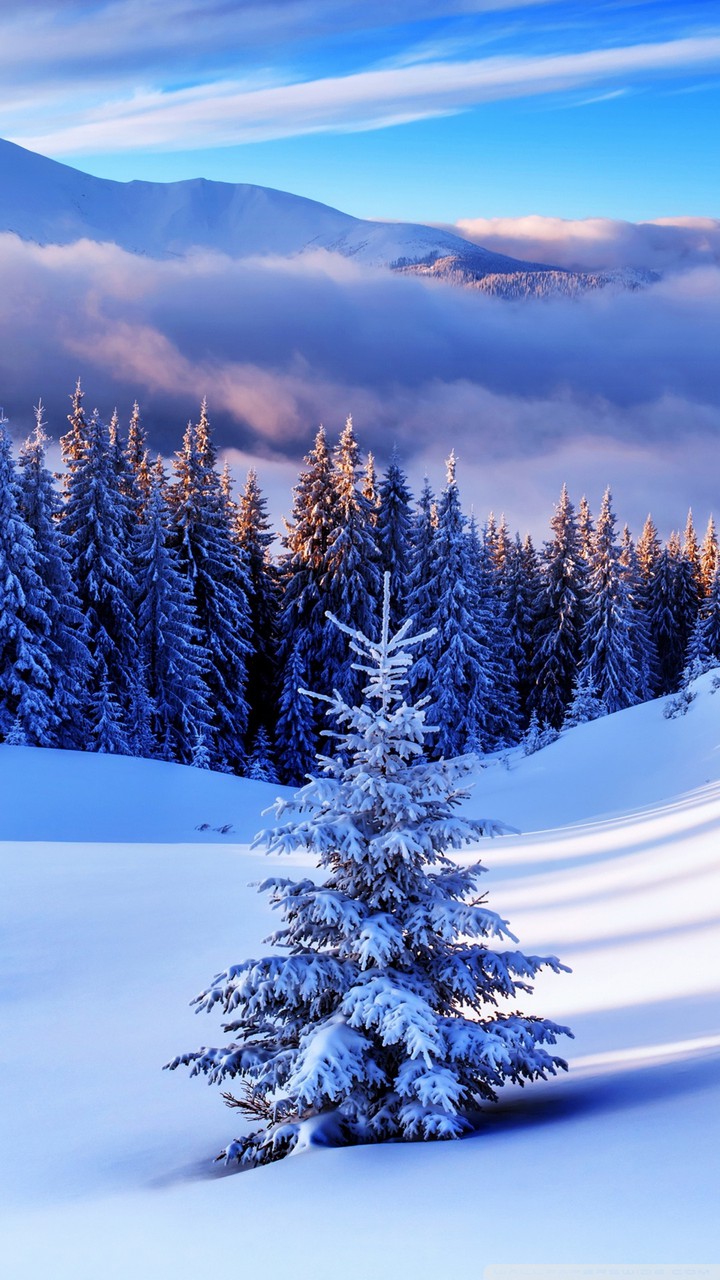 snow