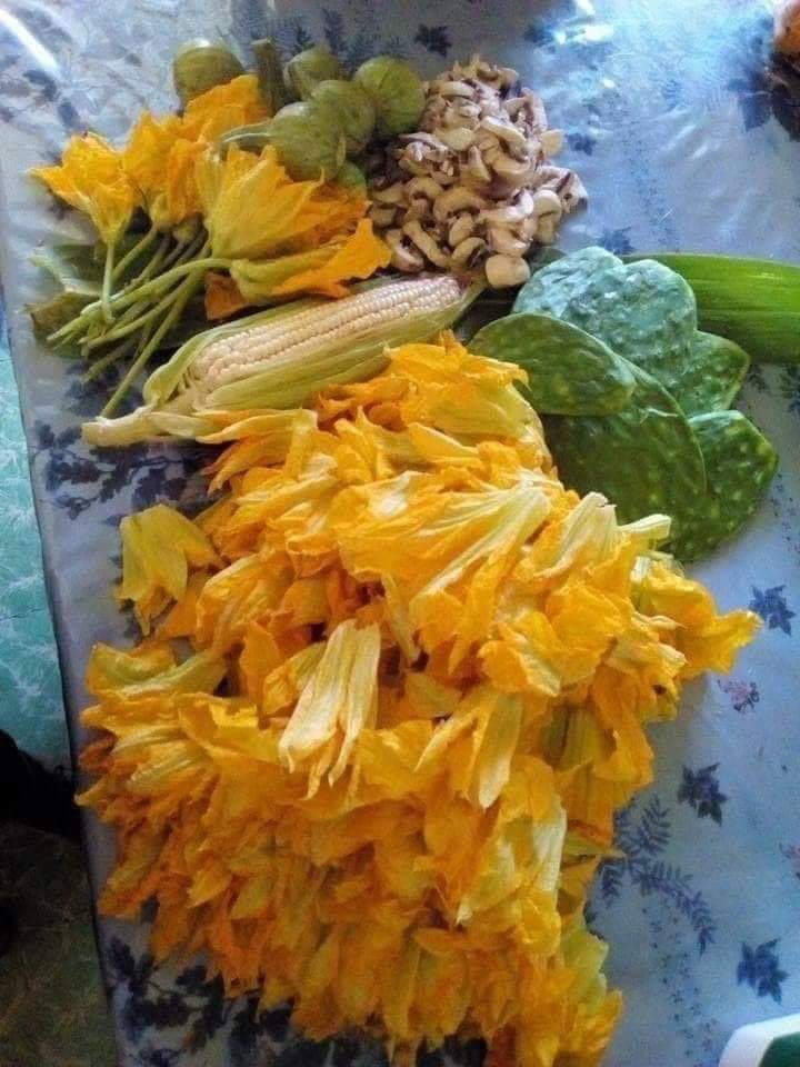 frutos del campo de mi Mexico f