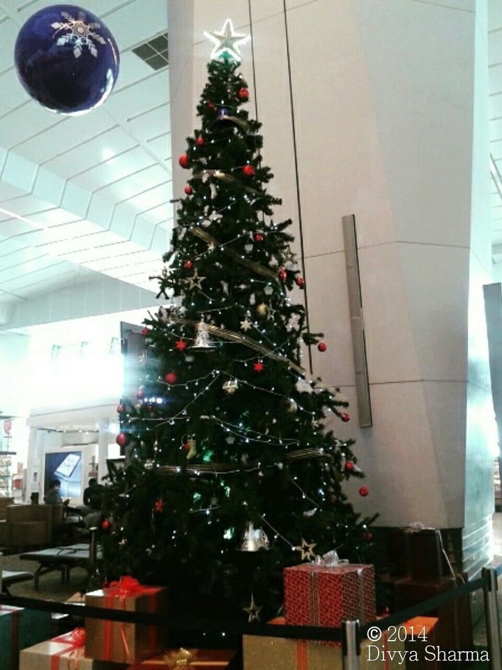 A Perfect Christmas!