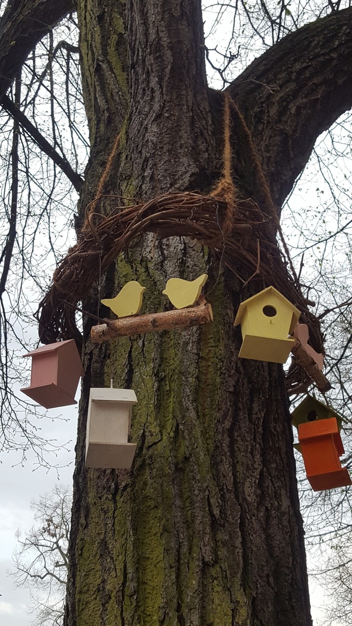 Frühlingsgruss