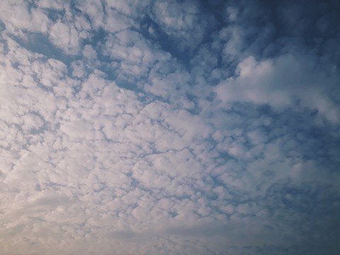 Autumn Cloud