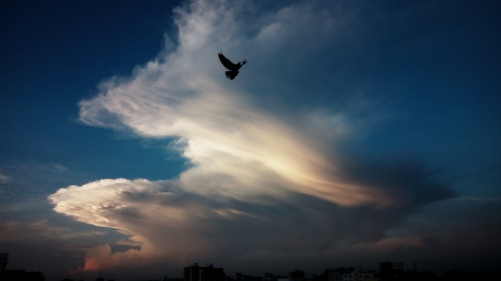 The Sky