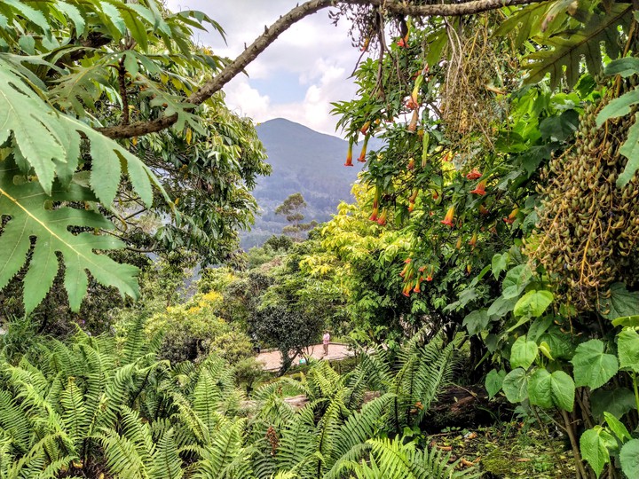 escondido