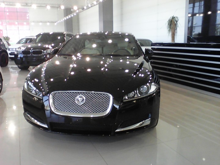 jaguar