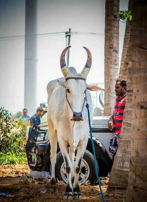 Tamilnadu_