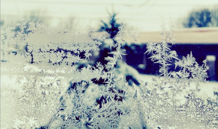 hiver blanc neige