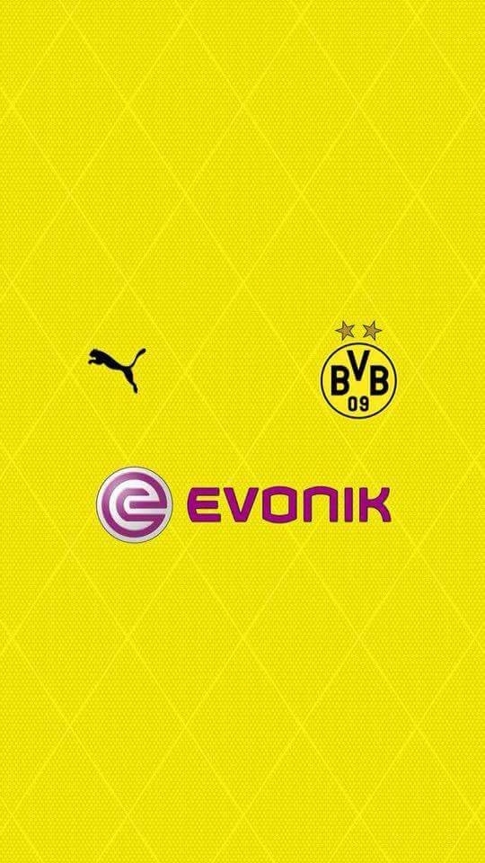 bvb