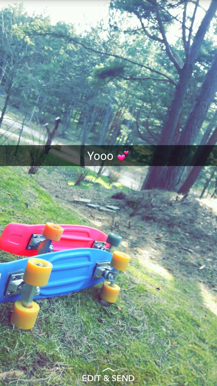 Boards 