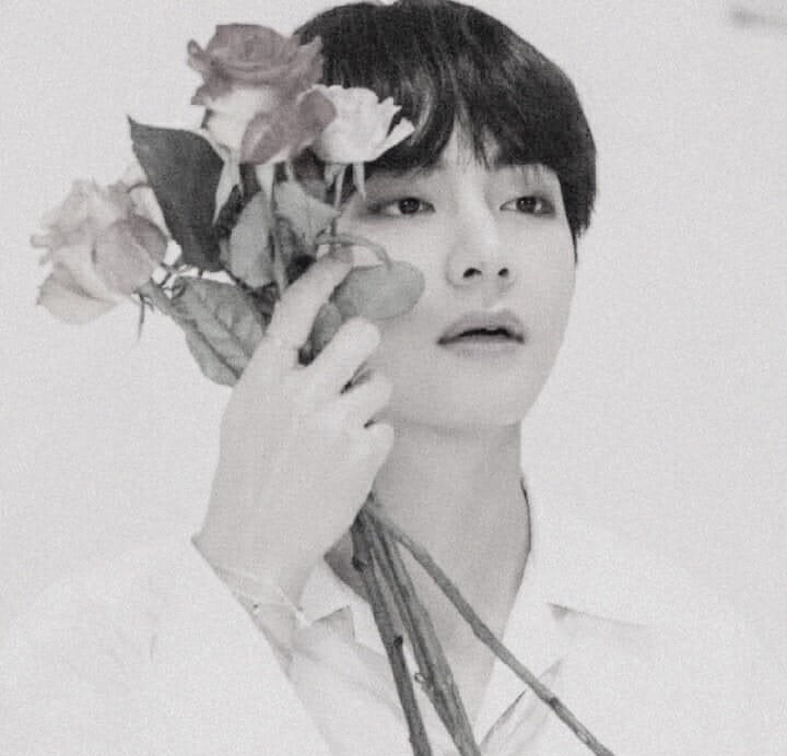 BTS V