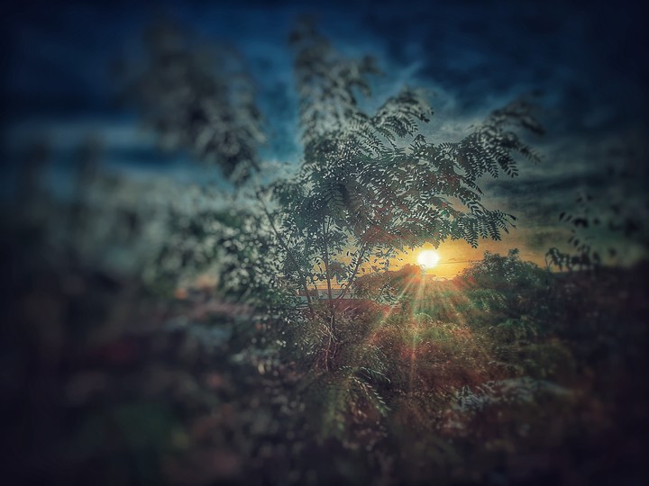 sunset