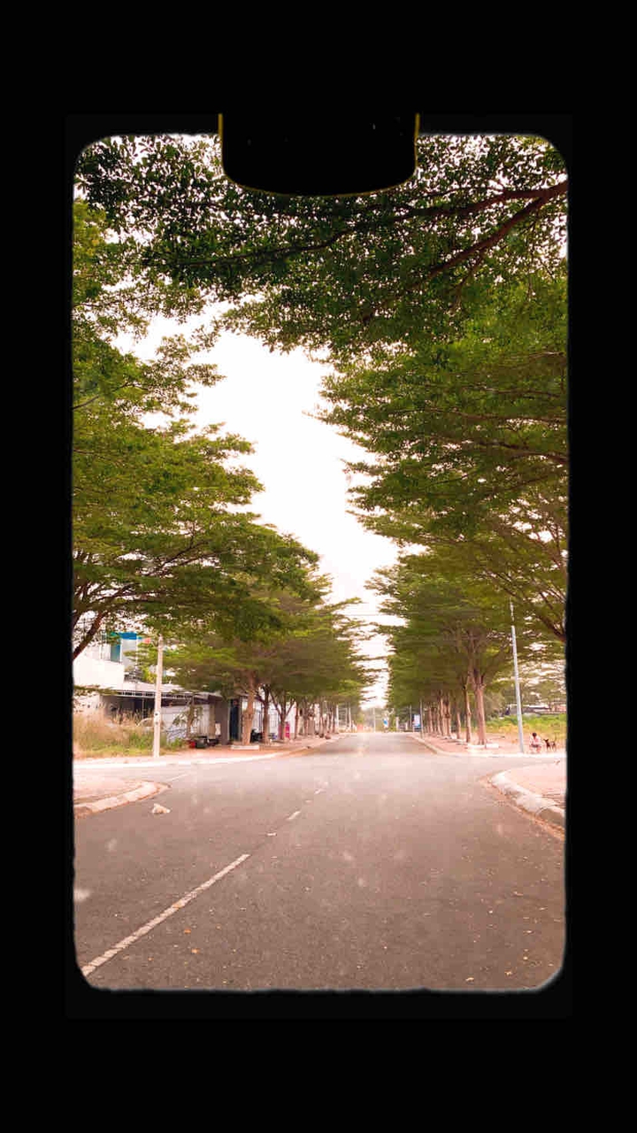 Street
