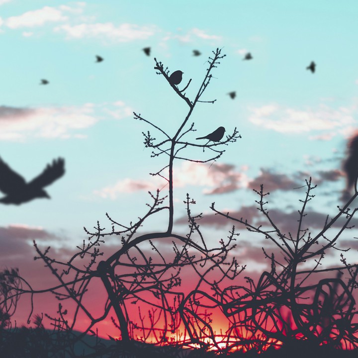 paisagem