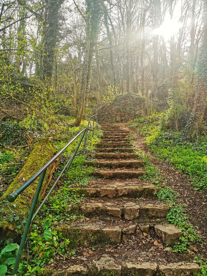Waldspaziergang