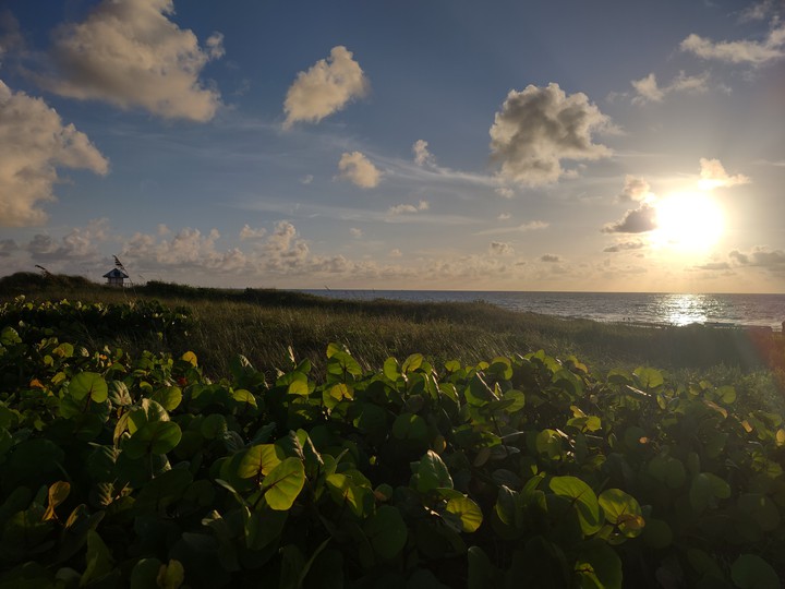South Florida