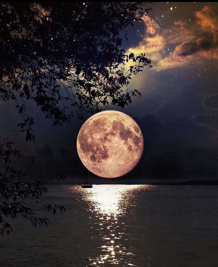 good night