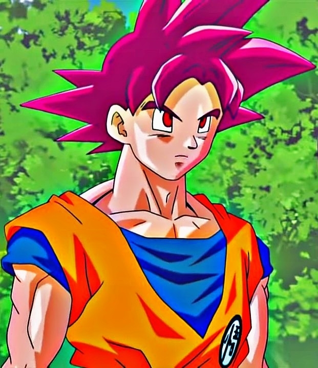 son goku red DBSuper
