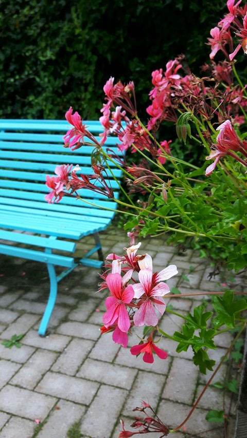 Bench