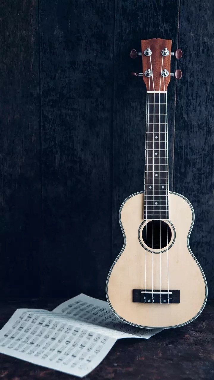 Guitar