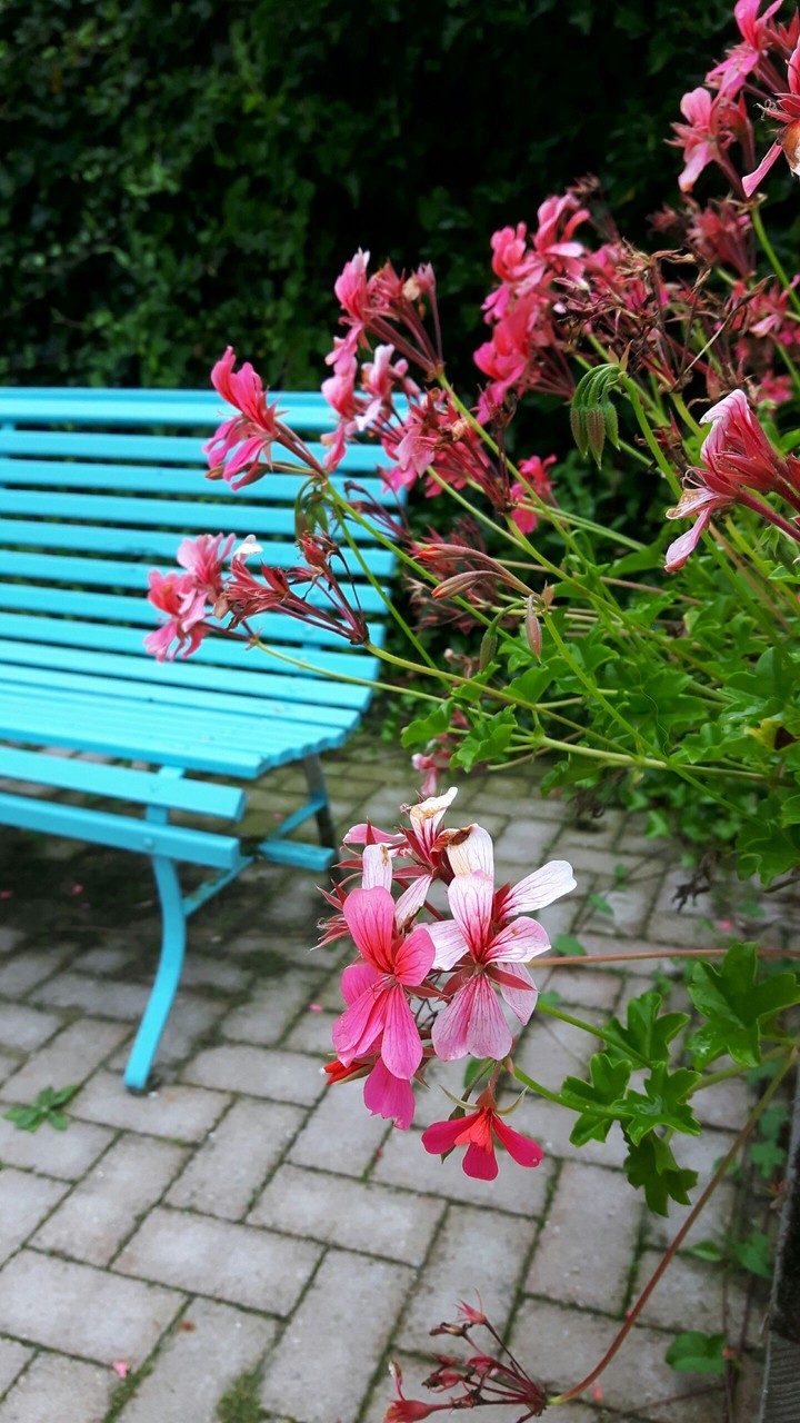Bench