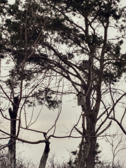 birdhouse
