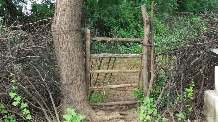 gate of farm