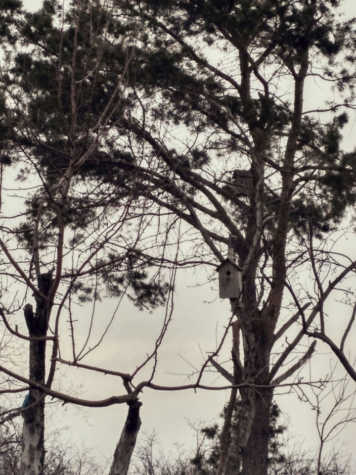 birdhouse