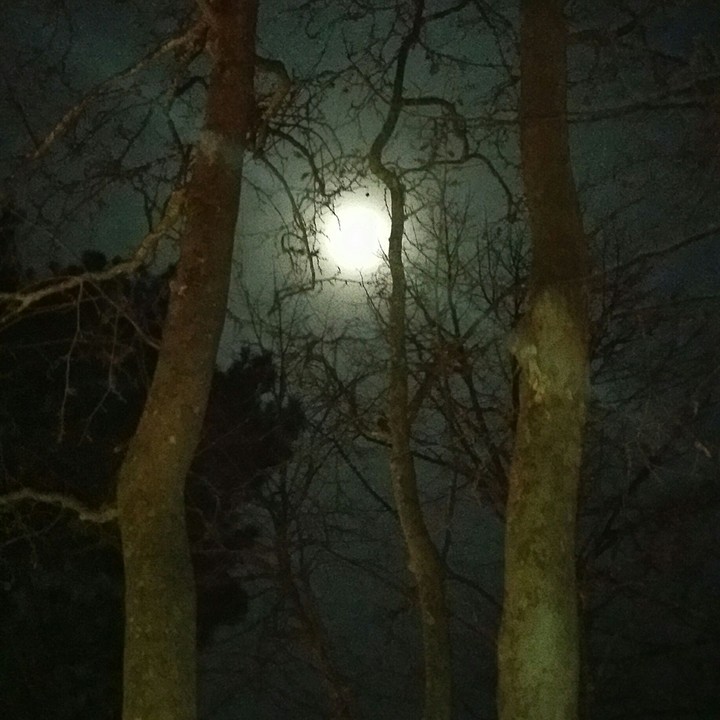 moon