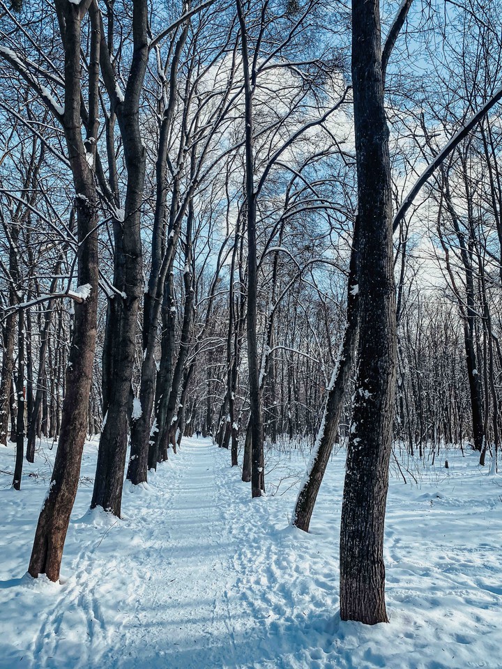 Winter walk ☃️