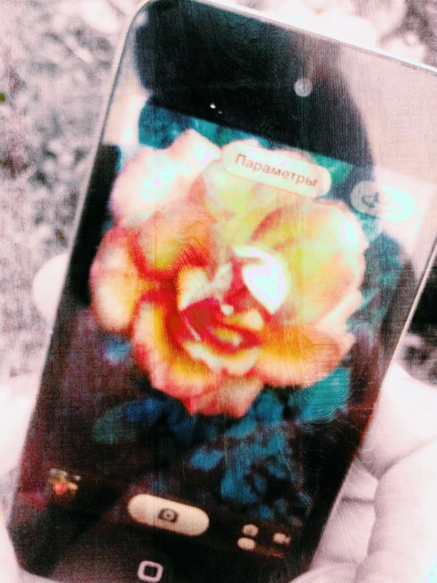flower and